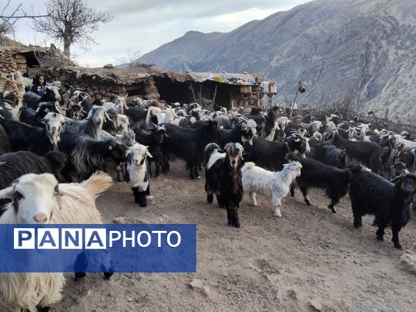  سرزمین عشق در دل سختی‌ها