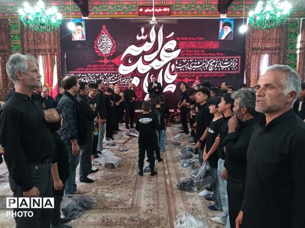 میزبانی هیئت شاهزاده قاسم از آیین دسته‌روی هیئت‌های فدافن 
