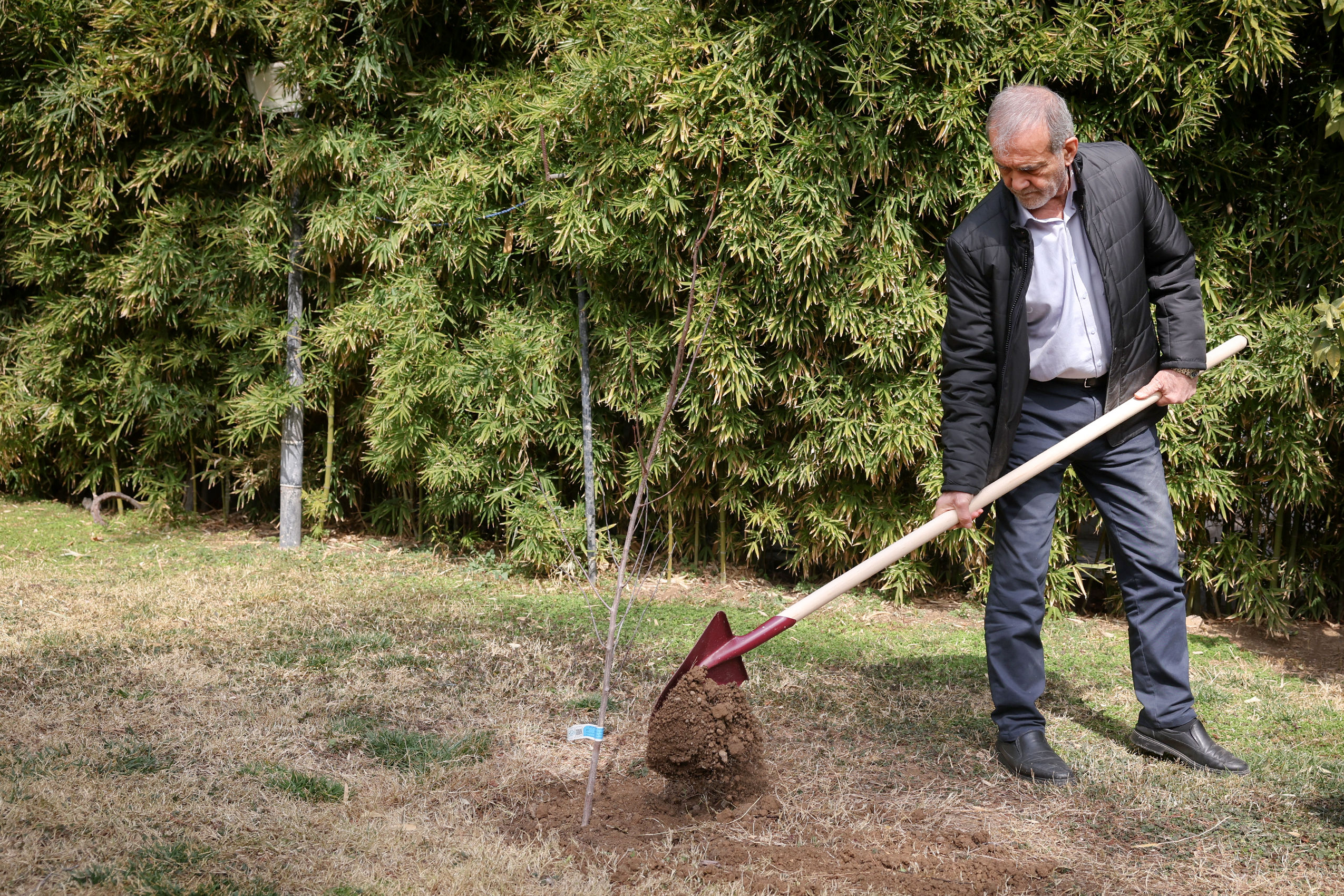 مردم با مشارکت در کاشت درخت به بهبود محیط زیست کشور کمک کنند

