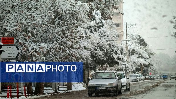 وقتی زمین زیر لحاف سفید برف به خواب میرود