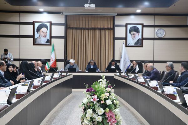 هنرمندان استان خراسان رضوی با استاندار خراسان رضوی دیدار کردند 