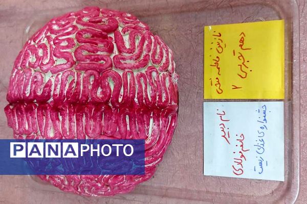 روز آزمایشگاه در دبیرستان شاهد ندای فاطمه (س) ناحیه دو شهرری 