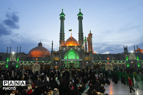 گل آرایی ضریح مطهر حضرت معصومه(س) در شب میلاد امام رضا(ع)
