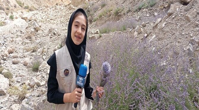 رشته کوهای شهر بار ذخیره گاه گیاهان دارویی خاص