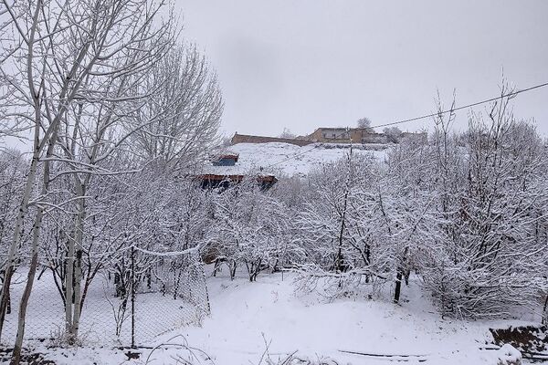 آسمان سخاوتمندانه نعمتش را در ماه شعبان به زمین شهر بار هدیه کرد
