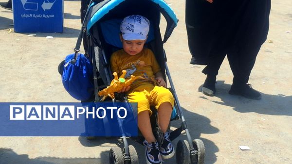 جلوه‌هایی از حضور کودکان در مسیر مشایه نجف تا کربلا