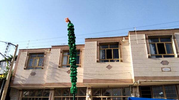 علم‌ گردانی آیین‌ هر ساله‌ شهر وردنجان