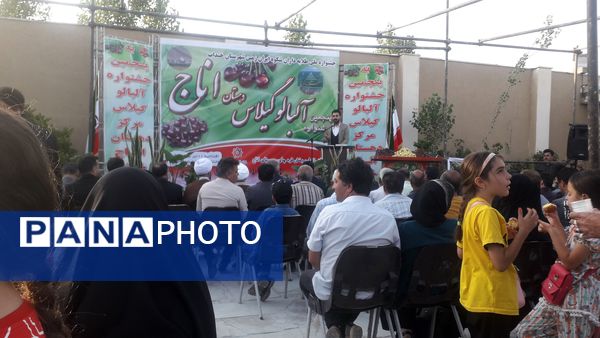 جشنواره آلبالو و گیلاس روستای اناج