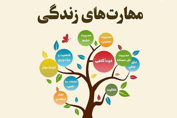 بایدمهارت‌های حل‌مسئله و تفکر خلال در کنار کتاب‌های درسی به دانش‌آموزان آموزش داده شود