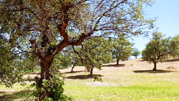 مسیر قارون تا قلعه مدرسه در واپسین لحظه‌های بهار