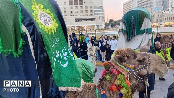 بیرق سیاه عزا در شب اول محرم بر گنبد ملکوتی امام هشتم برافراشته شد