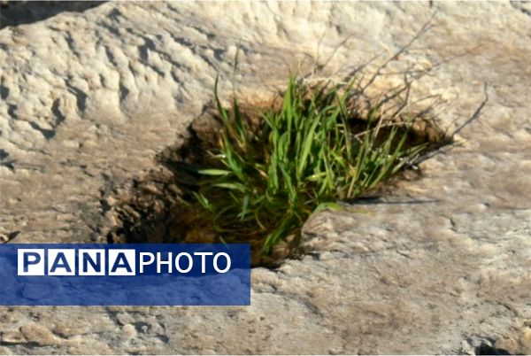 رومشکان گوهر پنهان طبیعت در نوروز ۱۴۰۴