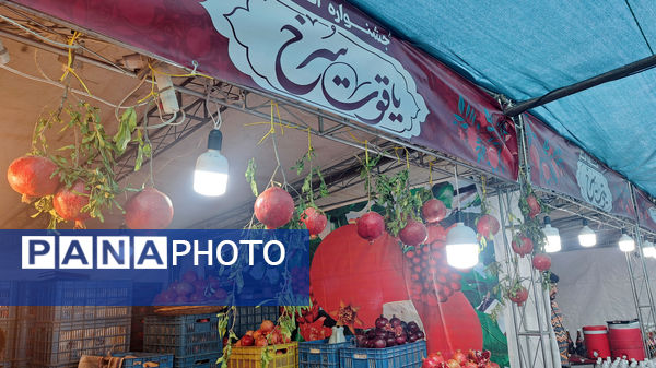 یاقوت سرخ اراک در جشنواره انار به نمایش درآمد