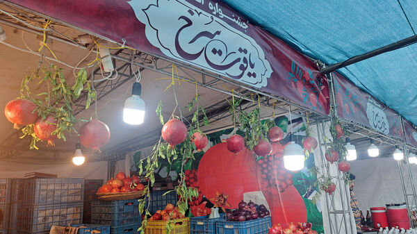 یاقوت سرخ اراک در جشنواره انار به نمایش درآمد