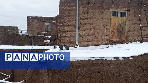 اولین صبح برفی در روستا بتو 