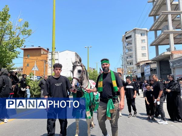 عاشورای حسینی در نور