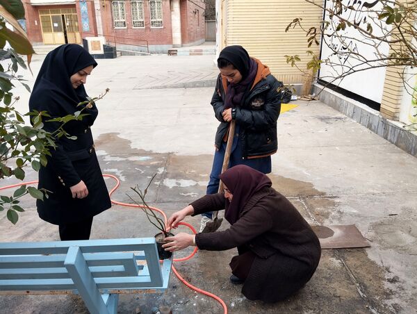 کاشت درخت در هنرستان بصیرت آشخانه