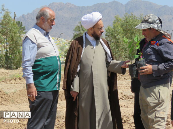 آیین "درخت سرو ایران" در شهرستان خلیل آباد 