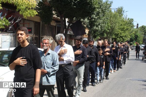 جاماندگان اربعین در ملکان؛ هم‌قدمی با کاروان عشق حسینی