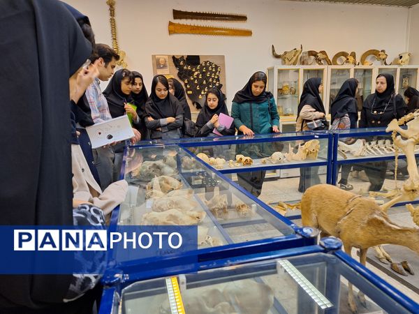 بازدید دانش‌آموزان از موزه زمین شناسی و جانور شناسی دانشگاه فردوسی مشهد