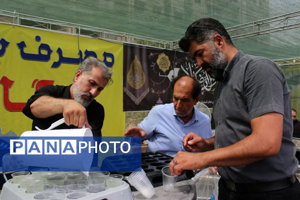 جلوه‌های زیبای انس و همدلی در خدمت به ارادتمندان سیدالشهدا(ع)