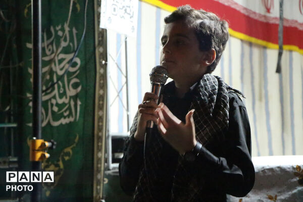 موکب سیار هنرمندان یزد