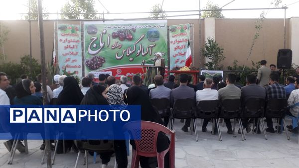 جشنواره آلبالو و گیلاس روستای اناج