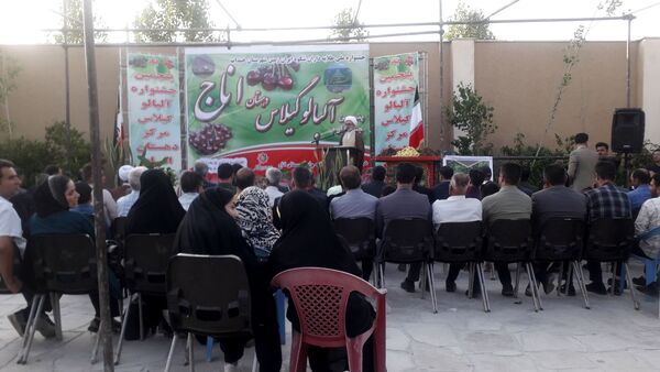جشنواره آلبالو و گیلاس روستای اناج
