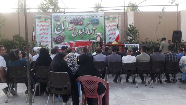 جشنواره آلبالو و گیلاس روستای اناج