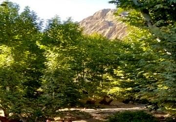 باغ بسیج فیروزآباد 
