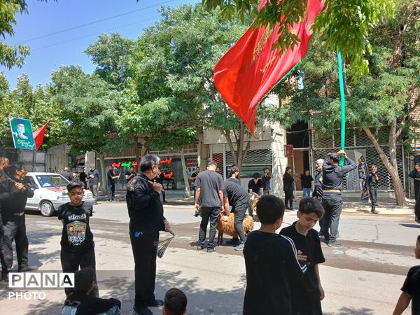 همدلی و ارادت به سیدالشهدا(ع) در تاسوعای حسینی