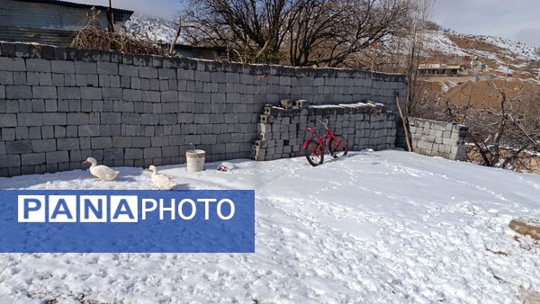 بارش برف در میانکوه 