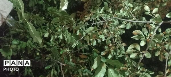 حال و هوای دل‌انگیز روستای مایان در آخرین ماه تابستان