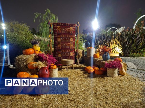 زیبایی باغ گل‌های مشهد در پاییز