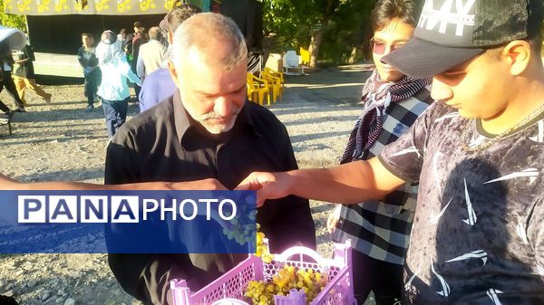 حرکت عاشقان به سوی مشهد الرضا(ع)