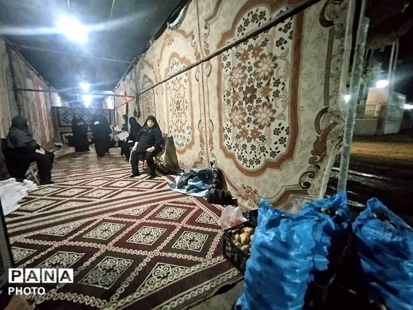 توقف درمسیر عاشقی، موکب حیدریون پذیرای زائران وعزادارن رهبری