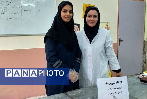 برگزاری کلاس آناتومی و تشریح مغز در پژوهش‌سرای بوعلی سینا ملارد