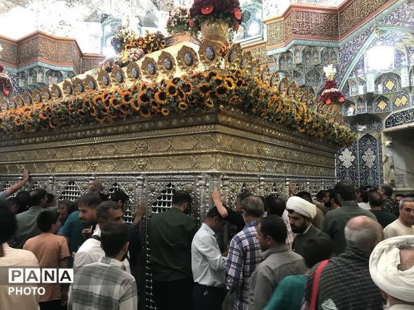 تصاویر دیدنی از حریم امن فاطمی در ایام ورود حضرت معصومه (ع) به شهر مقدس قم