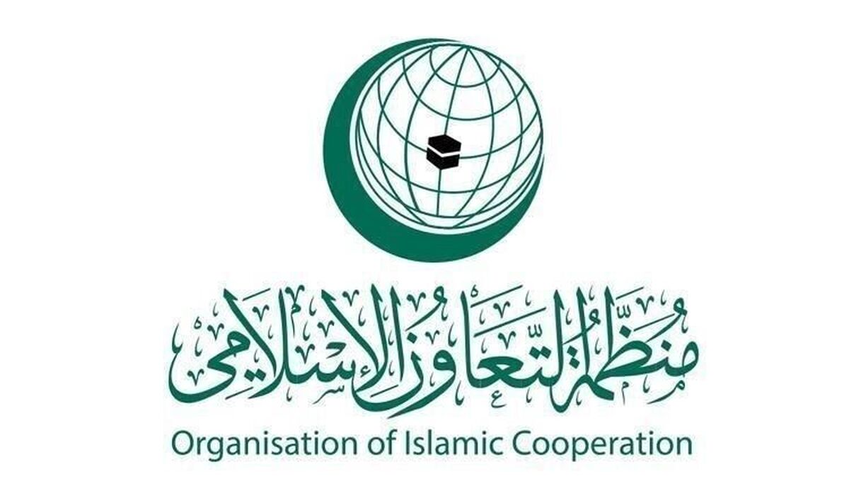 درخواست سازمان همکاری اسلامی برای تحقیق درمورد جنایت اسرائیل علیه امدادگران غزه