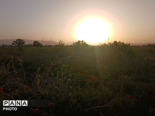 طبیعت چشم نواز روستای دهنو