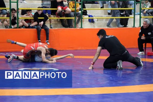 قهرمانی نونهالان و نوجوانان رباط‌کریم در رقابت‌های کشتی