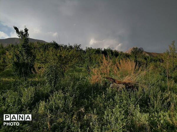 بارش شدید باران در اواخر خرداد ماه در شهر بار 