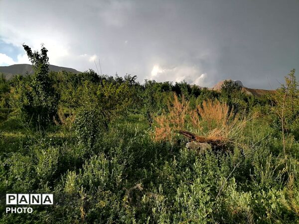 بارش شدید باران در اواخر خرداد ماه در شهر بار 
