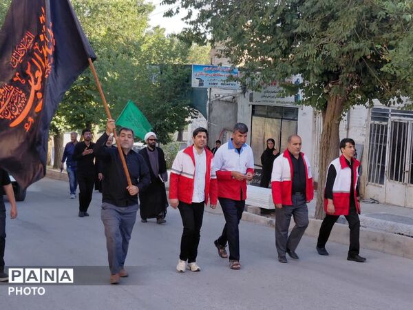 از مشهد تا کربلا؛ قدم‌هایی به وسعت عشق