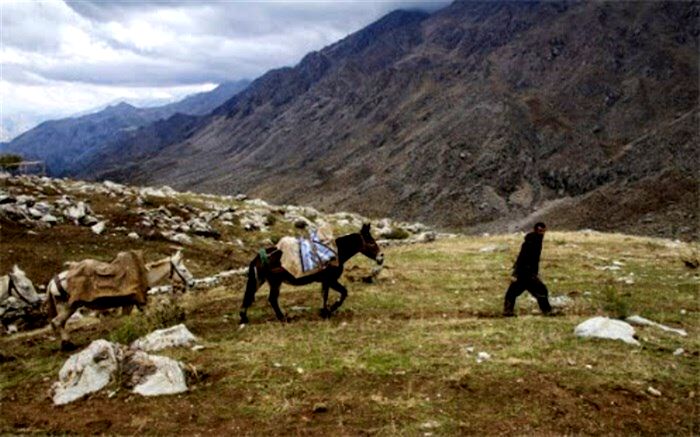 کرونا بار مضاعف بر دوش کولبرها