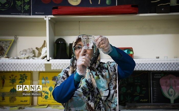 همه اما و اگرها درباره «شبکه شاد»