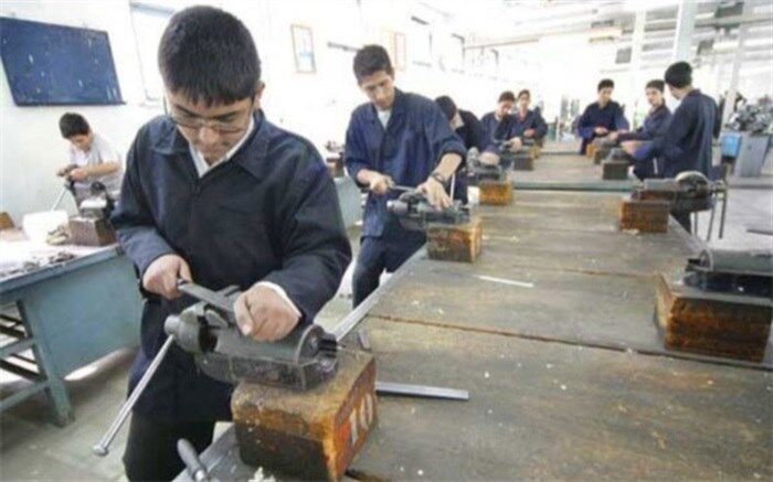نقش مهم آموزش و پرورش و مدارس در شکل گیری مسیر زندگی و کارآفرینی دانش آموزان