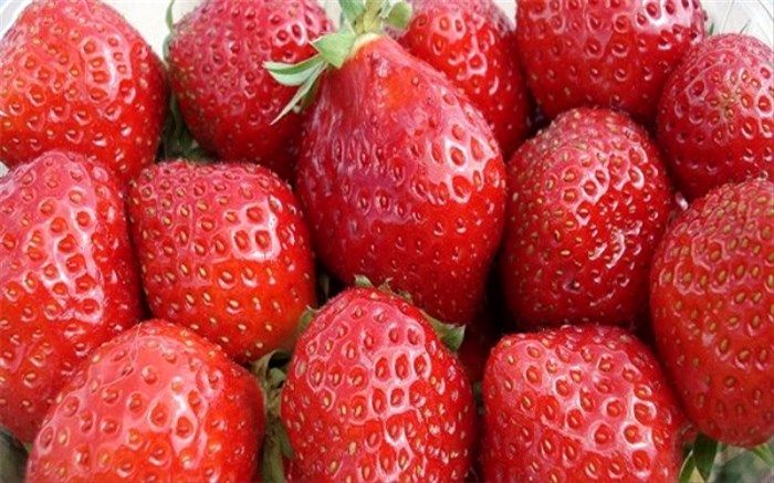 فواید حفاظتی مصرف توت و سیب و چای در برابر آلزایمر