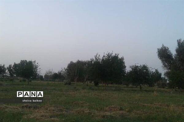 طبیعت زیبا و بکر سیستان پس از دو دهه خشکسالی