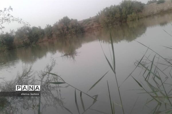 طبیعت زیبا و بکر سیستان پس از دو دهه خشکسالی